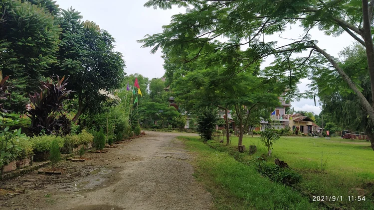 Compound